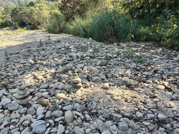 清水岩中央嶺造林步道2957421