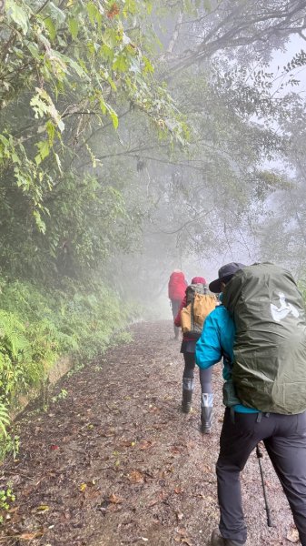 穿羅紗的「加羅湖」2943915