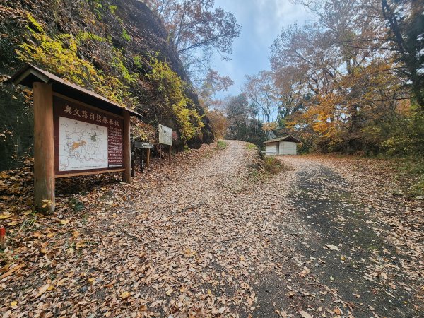 20251125登月居山遊袋田瀑布順遊舊上岡小學校2958366