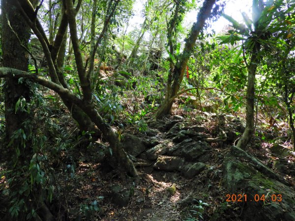 高雄 甲仙 白雲山1331946