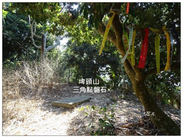坪林山、三汀山連走 (台中、太平)2022245