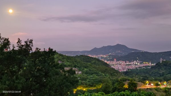 雲山水花鳥蝶 - 天龍國阿伯的日常7/18 & 21、22、292556639