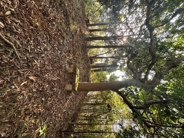 苗栗頭屋-墨硯山步道2613667