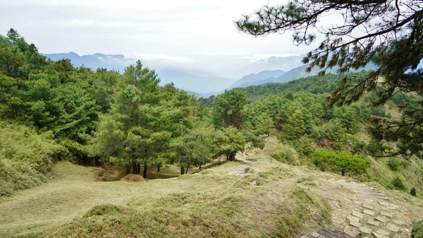 20180420鹿林山 麟趾山1495682