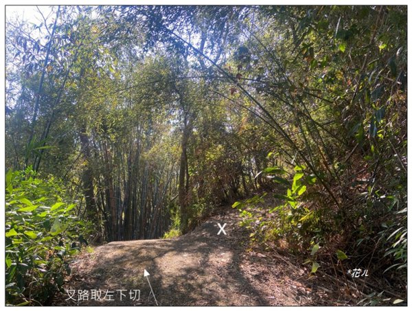 后里 七星山 新發現基石2990044