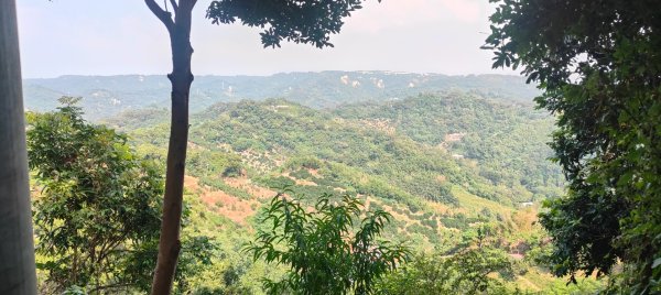 頭嵙山、聚興山3123096