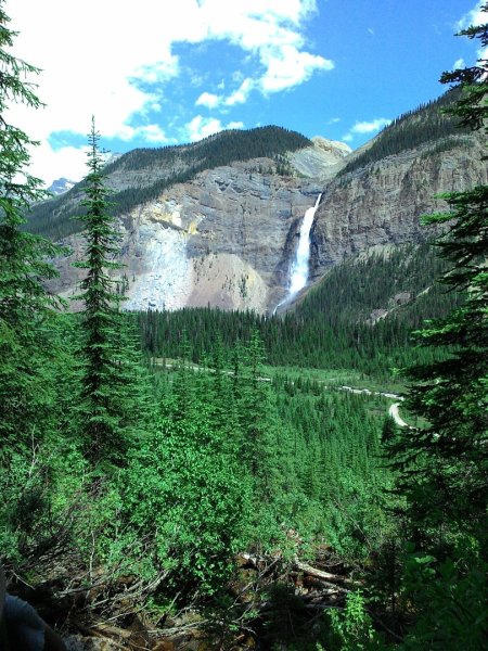 Iceline Trail (YOHO 加拿大幽鶴國家公園)2634582