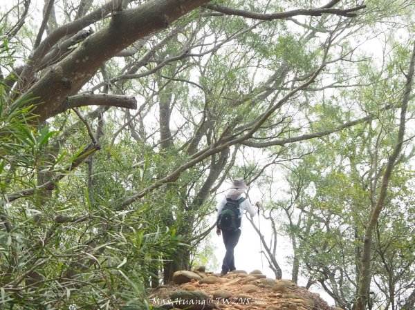 《苗栗》心靈之旅｜火炎山步道O繞南鞍古道201804212890658