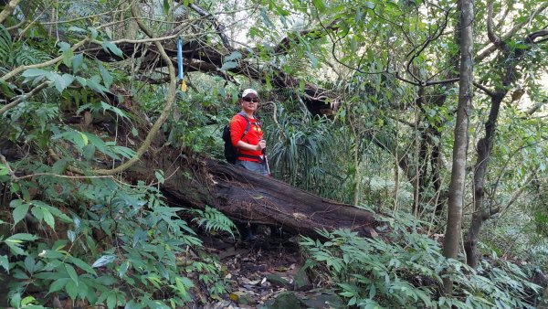 蛇來運轉之蛇年爬蛇山  蛇子形古道-三爪子坑山-蛇子崙山O型2783967