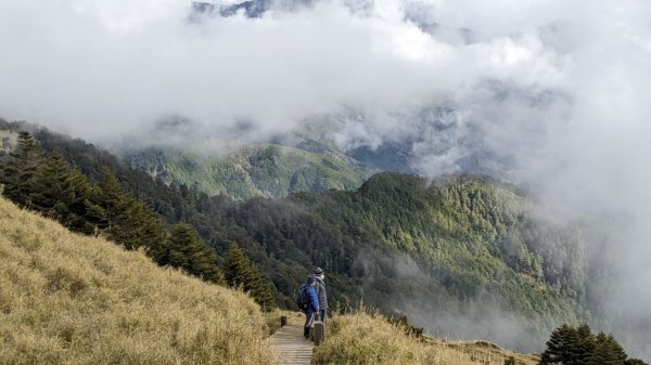 【南投】仁愛合歡東峰｜百岳