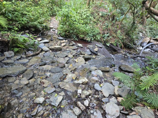 卓社大山〔武界栗栖溪登山口起登〕2748376