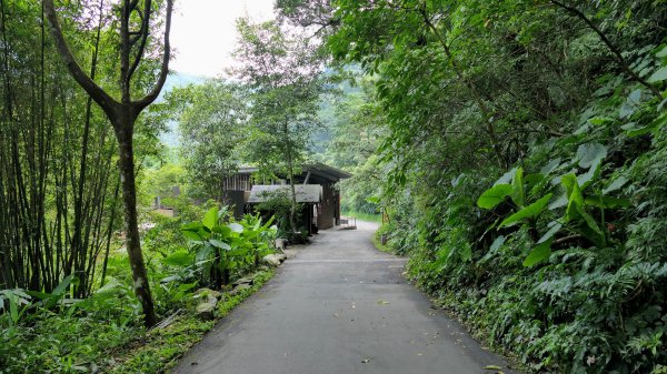 福山部落,內洞森遊區2552481