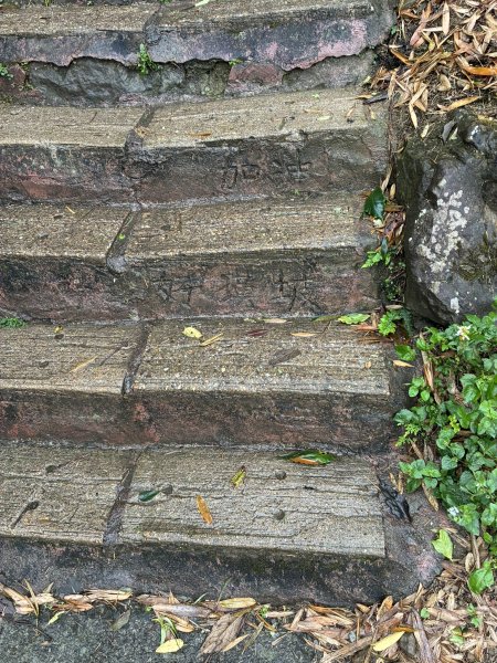 20260406[公車]雲嘉連峰-二尖山+馬鞍山+梨子腳山+太平山+太平山西峰3031074