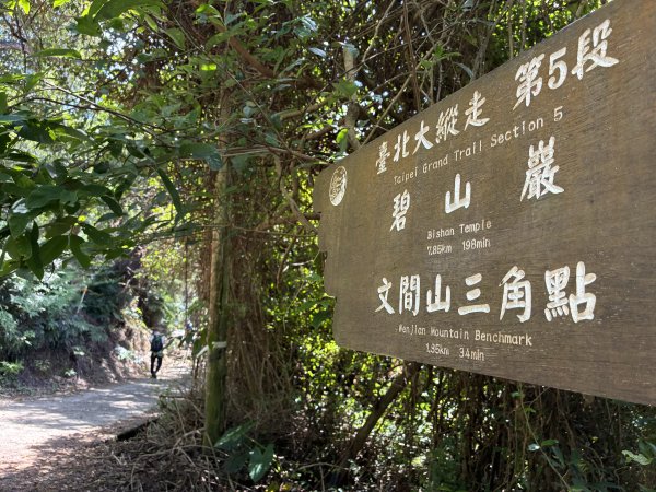 台北大縱走2026｜💎尋寶穿越蝴蝶蘭步道！第五段｜劍潭(山)→文間山→忠勇山→碧山巖3066745