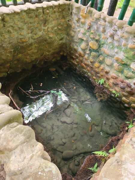 竹坑南寮登山步道~舒服山景2759649