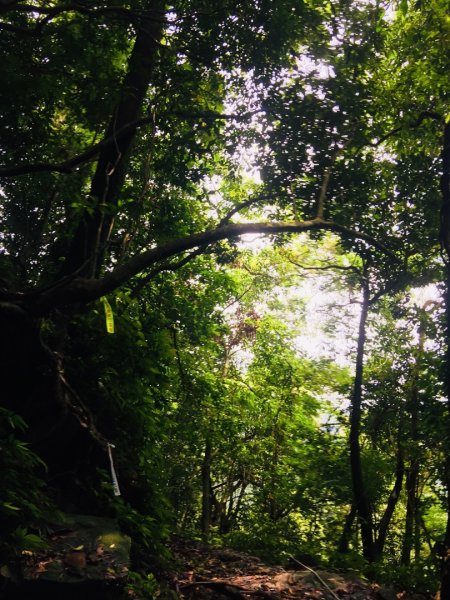 淡蘭北路楊廷理玩泥巴（瑞芳-雙溪）587247