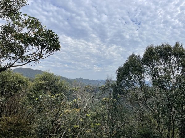 鱷魚頭景觀步道2729211