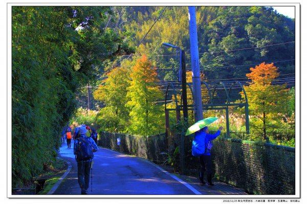 大嶺古道、五酒桶山縱走灣坑頭山469500