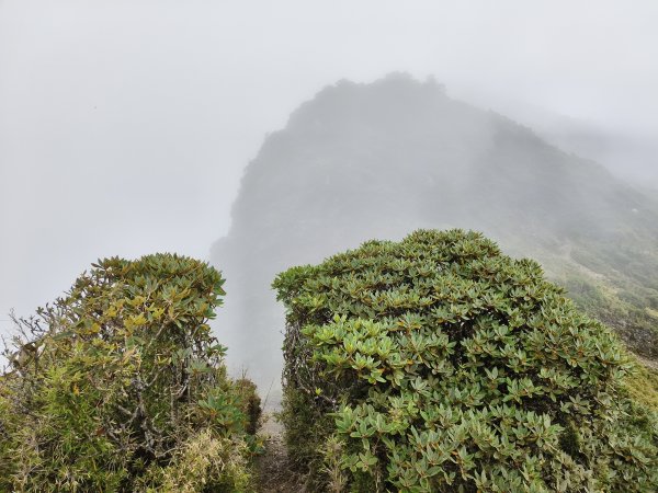 北一段(06/14)巴巴山 2025_0906~132886716