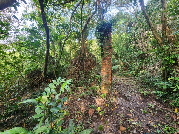 20250404雙十縱走失敗撤退改走蝙蝠山2892553