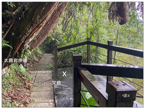 太興岩步道、萬鷺朝鳳、巧雲小棧 (嘉義 梅山)2886383