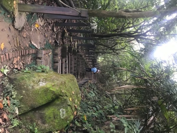 三汀山、觀雲嶺、台灣湖2163594