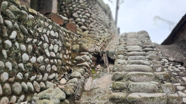 《彰化》古意人文｜員林18觀音O繞大峰巷挑水古道202504122759446