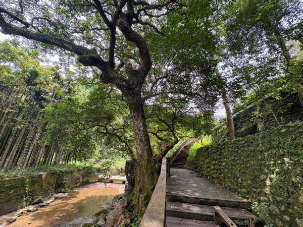 四寮溪生態步道2828535
