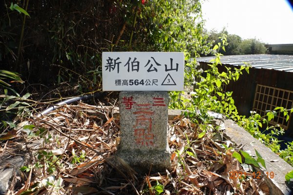 臺中 東勢 新伯公山