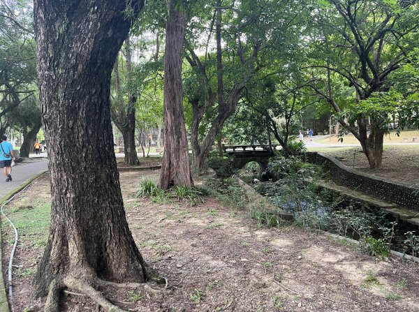 [全臺走路趣尋寶-09/71]  2023_0914_嘉義公園步道2290567