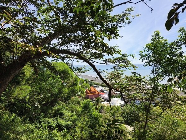 [漫遊縱谷 愛在花東-01/10] 2025_1011 大武觀海步道2912909