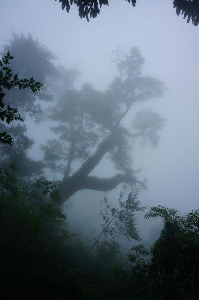 特富野古道90997