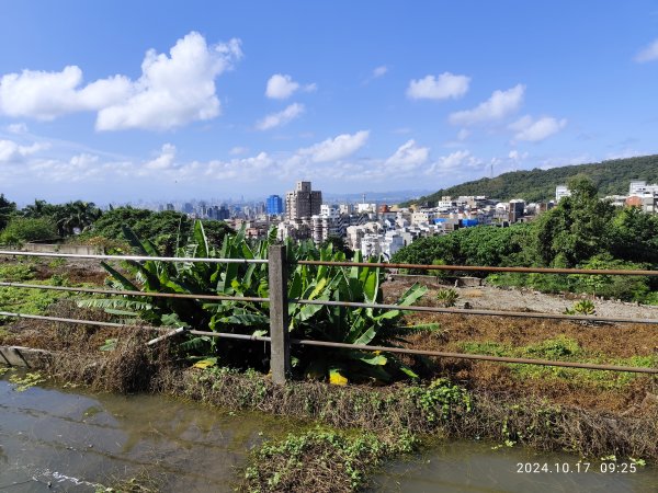 天母→猴洞→湖山→半嶺→第二展望臺→陽峰古道→花田花草集【發現陽明山】2-12629099