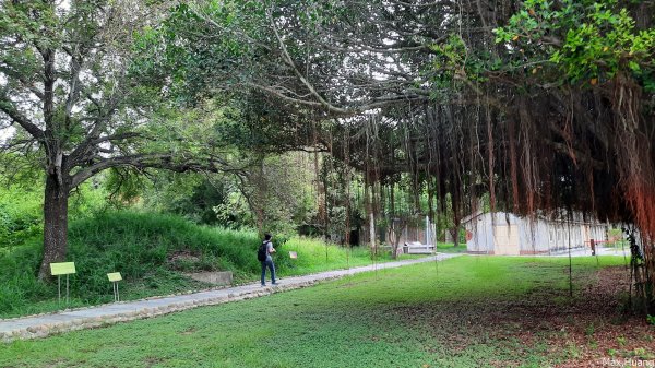 《台中》牛罵頭遺址｜清水鰲峰山公園步道202307232229962
