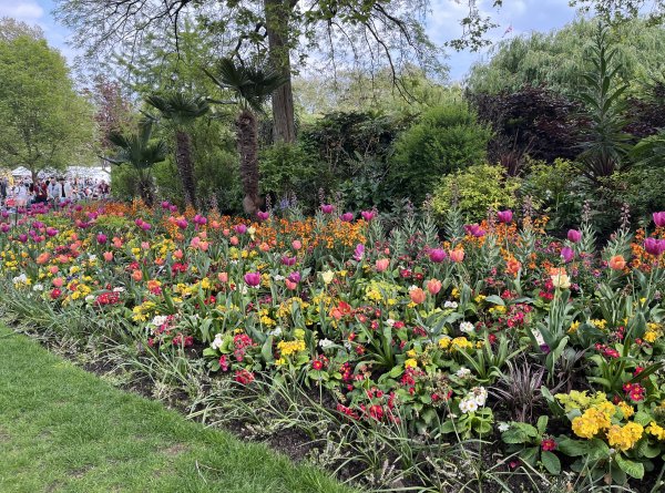 2025_0427 倫敦馬拉松順遊西歐 D9a(起點和終點)2794431