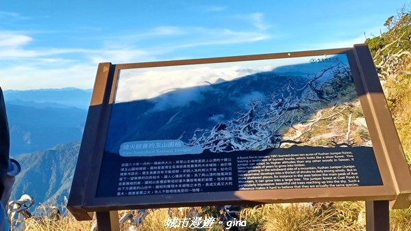 【台中和平】山迢路遠換壯闊山景。 No75百岳雪山東峰xNo2百岳雪山主峰 (兩天兩夜)2347675
