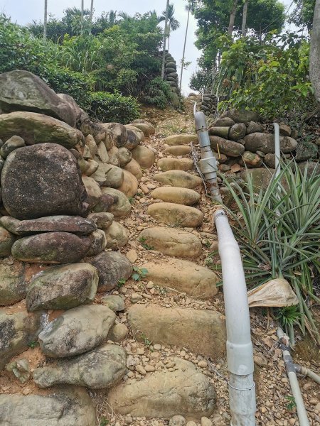 茶香步道-茶香四溢的茶園觀光步道1049338