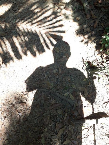 台中大坑步道7上6下20181027444584