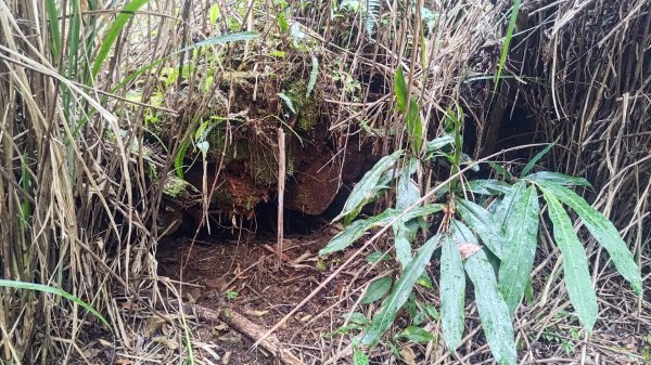雪見遊戲區盡尾山二本松山2702688