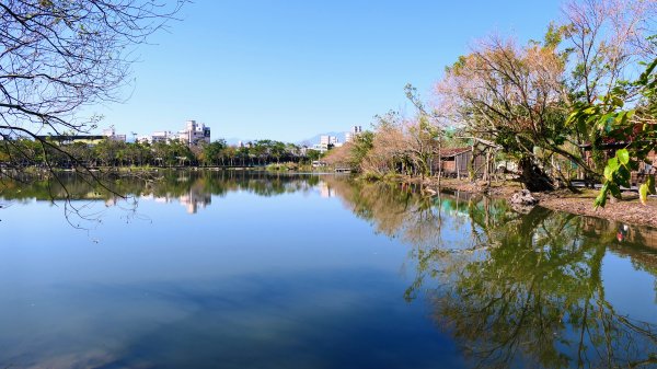 羅東運動公園2690162