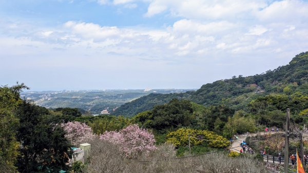 天元宮,楓樹湖,北新庄,淡水老街2430305