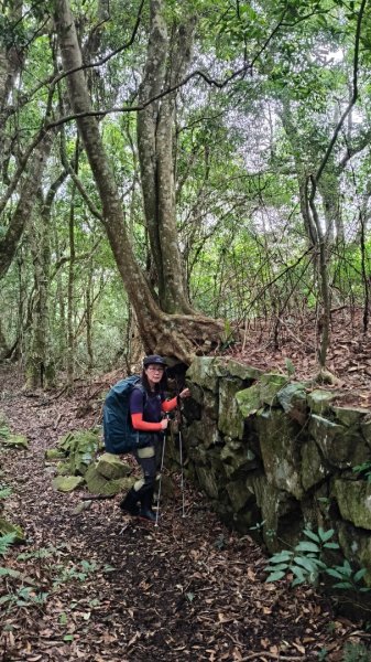 大混李棟重訓2883641