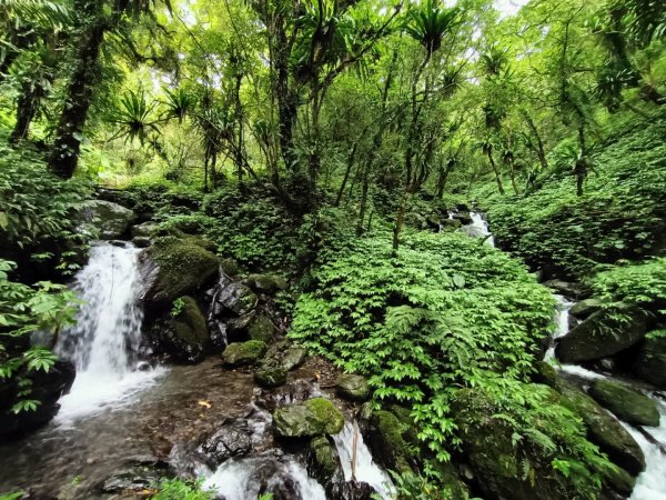 迷霧抹茶山1712754