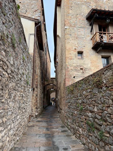 Via Francigena D1: San Gimignano-Colle di Val d’El3072654