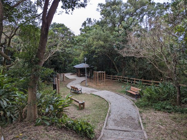 2024-01-28 福州山公園2793298