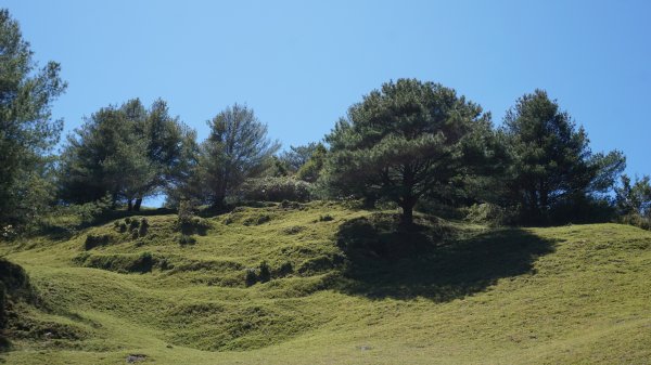 麟趾山。鹿林山1041887