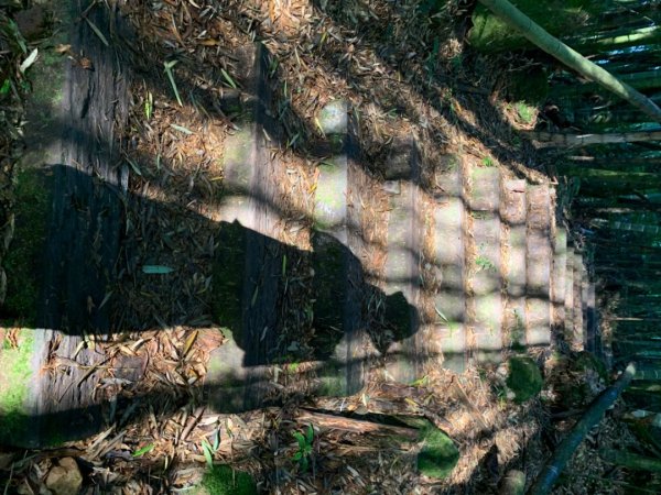 大凍山（小百岳）1117315