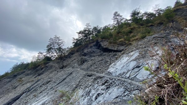 奇萊南華。金黃色的大擁抱1480628