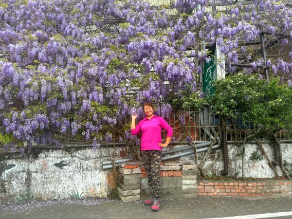 月眉山、海鼠山、生毛樹山、野薑花步道、進學古道3020771