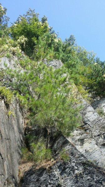 大霸群峰 107.10.19~21455247